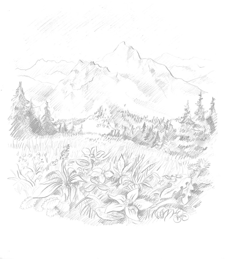Swiss Alps illustration